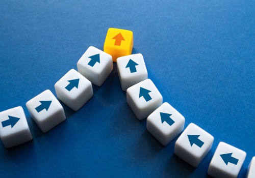 The Impact and Purpose of Nonprofit Entities in Southwestern Michigan: An Expert's Perspective
